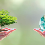 The Toyota Hybrid Revolution| Pioneering Eco-Friendly Driving